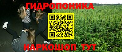 прущие грибы Кинель