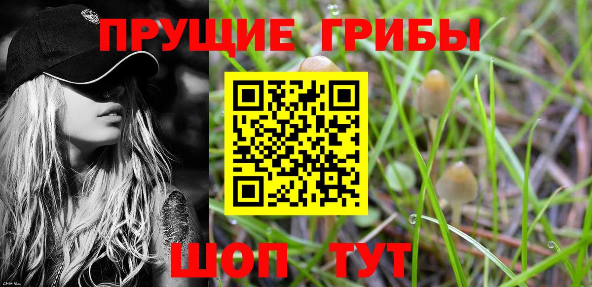 Галлюциногенные грибы прущие грибы Кропоткин